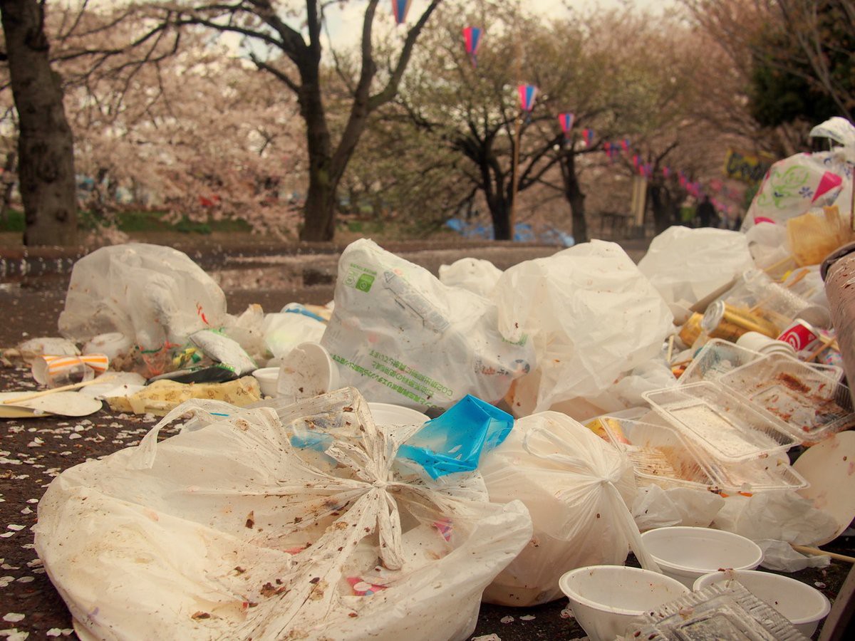 Đi ngắm hoa anh đào rồi để lại cả núi rác, đến người dân Nhật Bản cũng phải lắc đầu ngao ngán khi thấy những cảnh này